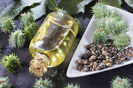 ACEITE DE RICINO: PROPIEDADES, USOS Y BENEFICIOS PARA EL CABELLO, LA PIEL Y LAS UÑAS