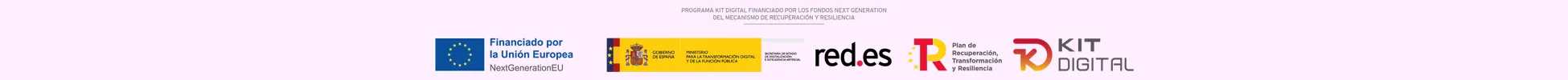 Tienda online financiada por el Kit Digital